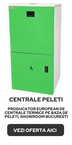 Amenajari Case